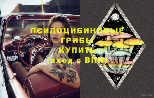 эйфоретик Михайловск
